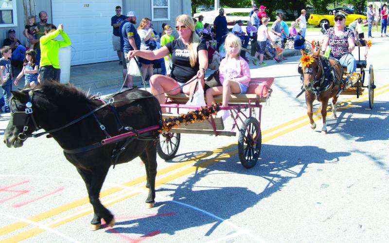 The grand finale at the 83rd Weir Homecoming Parade were the horses. In addition, two-wheeled carts pulled by ponies carried their riders along the parade route.