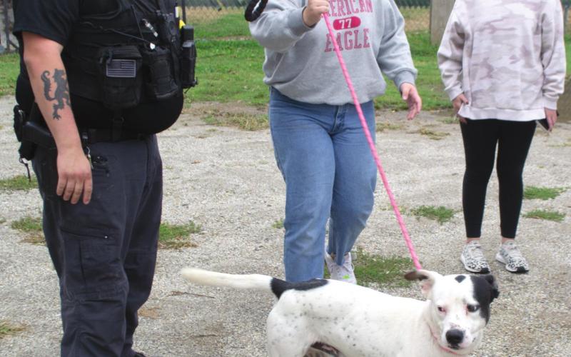 Animal Control Officer Arlo Lewke hands over a dog’s leash to Riverton High School student Bailee Riggs. She and fellow FCCLA member Karli King took the dog for a brief walk in front of the shelter, before bringing it back for treats and pets from the group. Photo by Jacob Spencer.