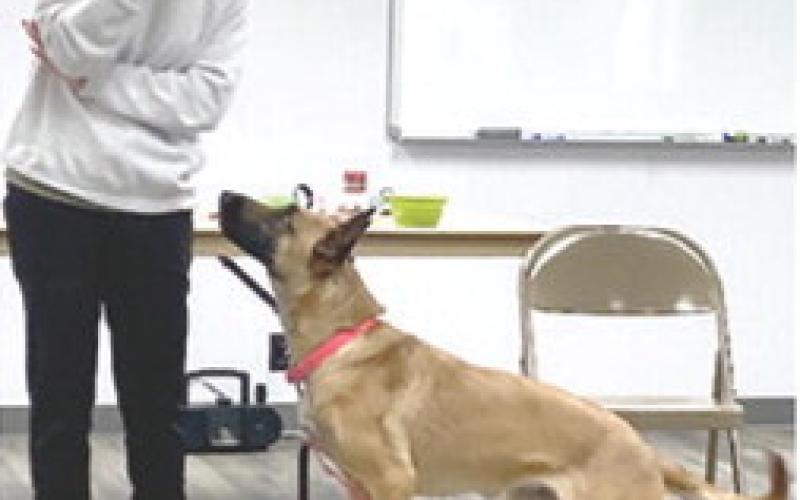 Abby Nelson gave a demonstration of her certified service dogs at the Sheridan Homemakers meeting.