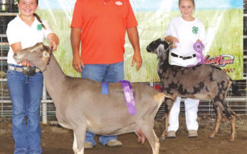 Dairy goats earn ribbons for Cherokee County 4-H members