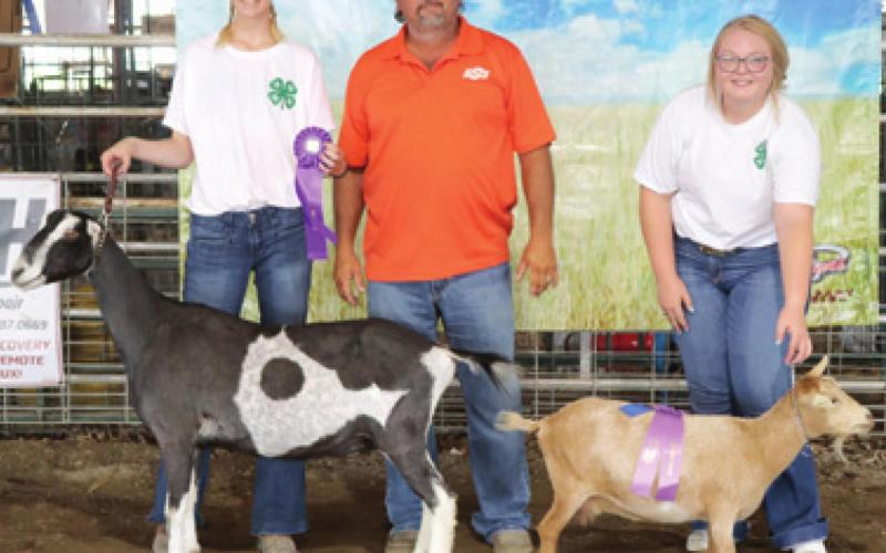 Dairy goats earn ribbons for Cherokee County 4-H members
