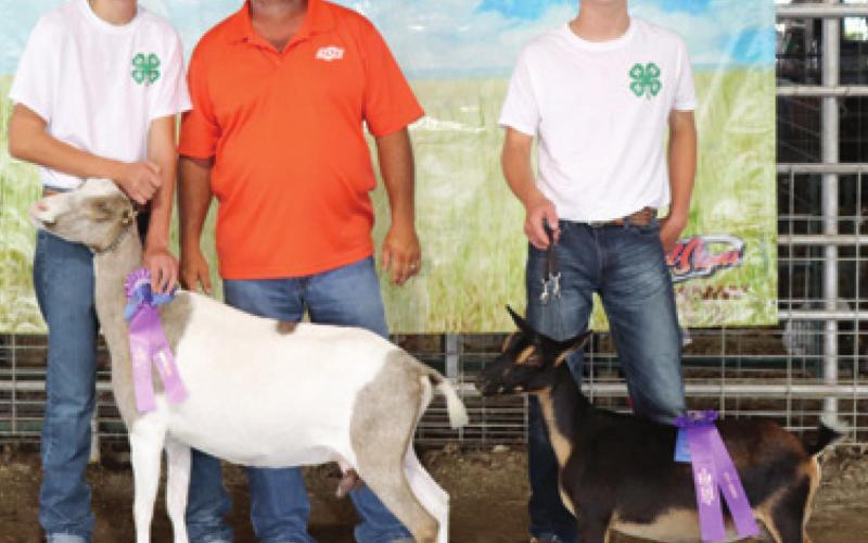 Dairy goats earn ribbons for Cherokee County 4-H members