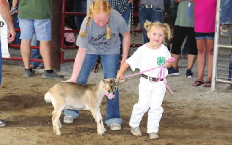 Dairy goats earn ribbons for Cherokee County 4-H members