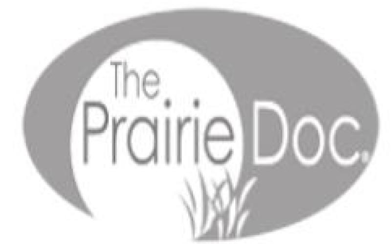 s day of school important transition for students