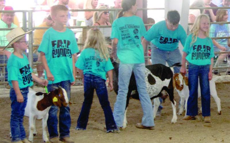 Fair Buddies takes place Wednesday night of Fair Week. After the awards and 4-H coronation, youngsters who have never shown an animal are mentored by an experienced showman to exhibit a sheep or goat in the arena.