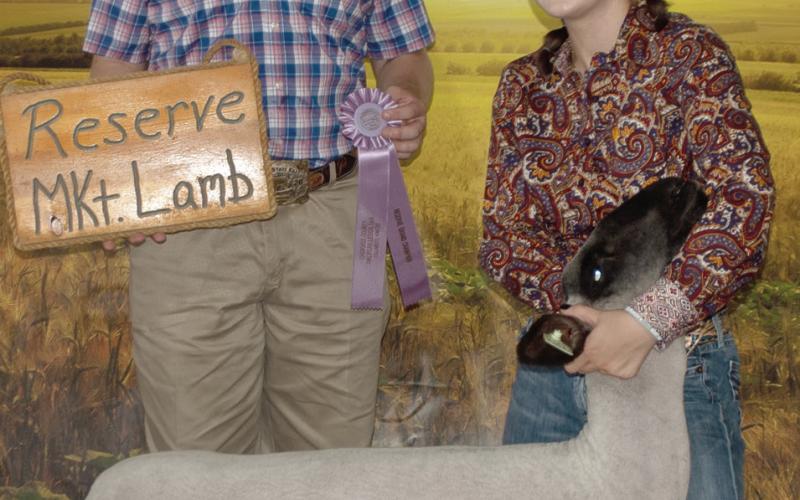 Ribbon winners named in Cherokee County sheep classes