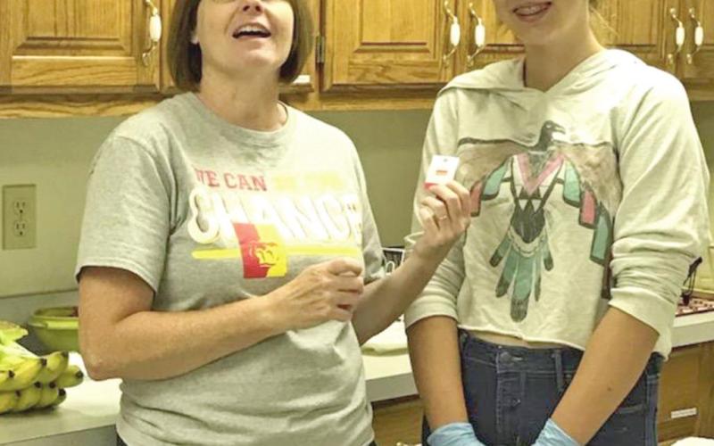 Local Girl Scouts earn community service pins