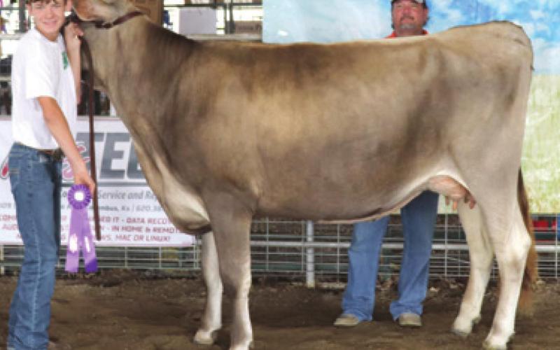 Results in 4-H Dairy Cows announced