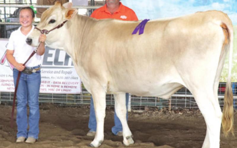 Results in 4-H Dairy Cows announced