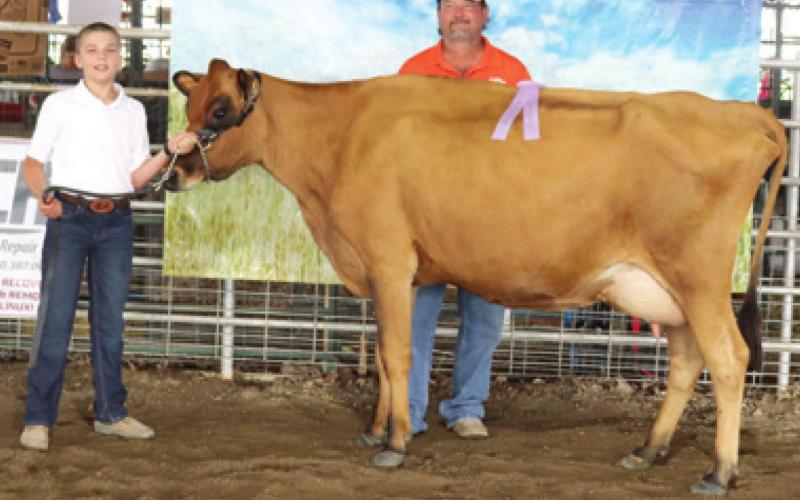 Results in 4-H Dairy Cows announced