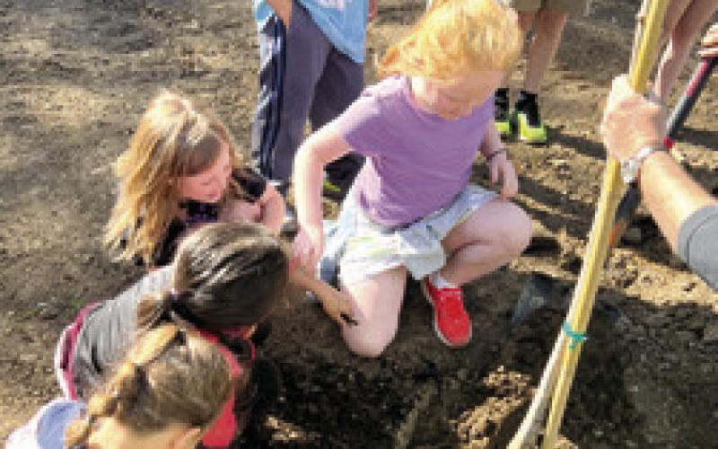 Park Elementary students, Liberty Utilities plant trees