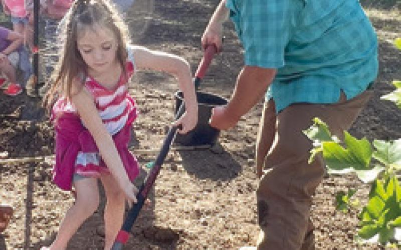 Park Elementary students, Liberty Utilities plant trees