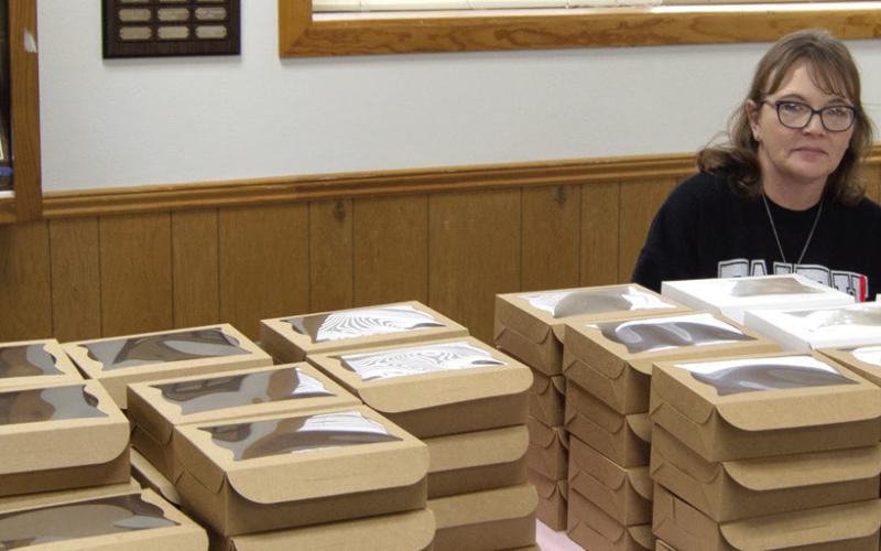 Health agency plans CPD, AED class for parents