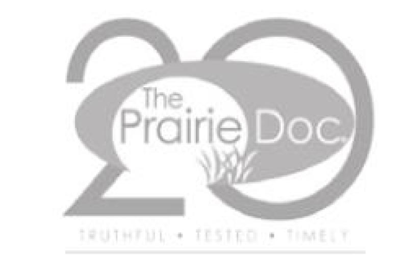 Enhancing awareness of PTSD