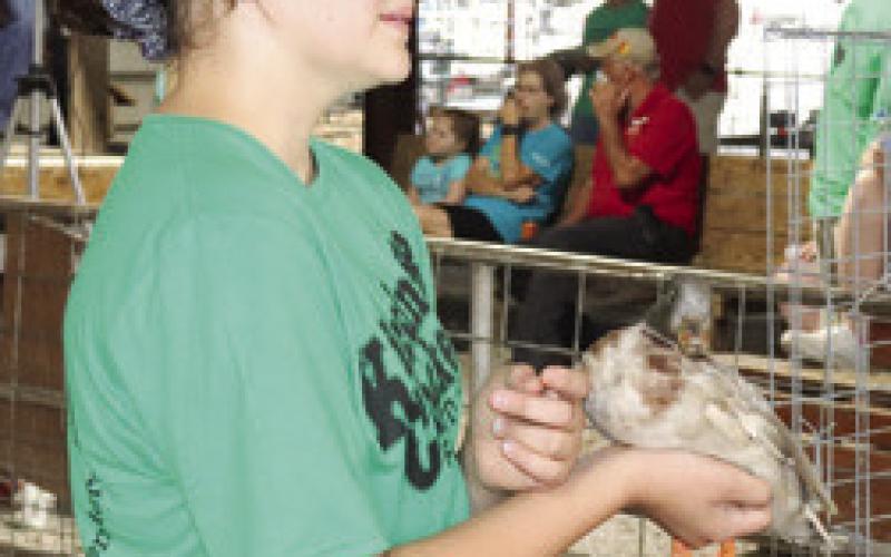 Results announced in 2022 4-H, FFA poultry classes