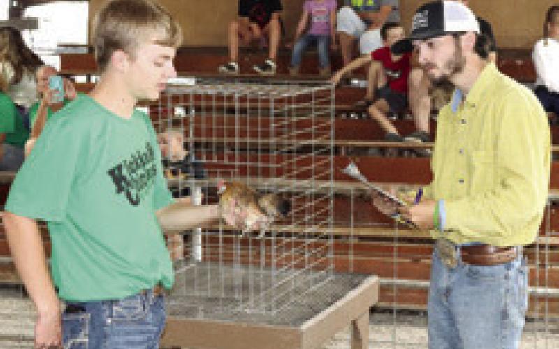 Results announced in 2022 4-H, FFA poultry classes