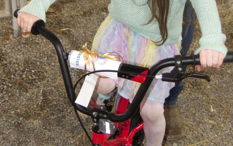 Anastasia Hudson found the special Easter Egg containing e certificate for a bicycle. She found the special egg in the under seven years old division. The Columbus Chamber of Commerce sponsored event was held in the 4-H show barns due to the rain.