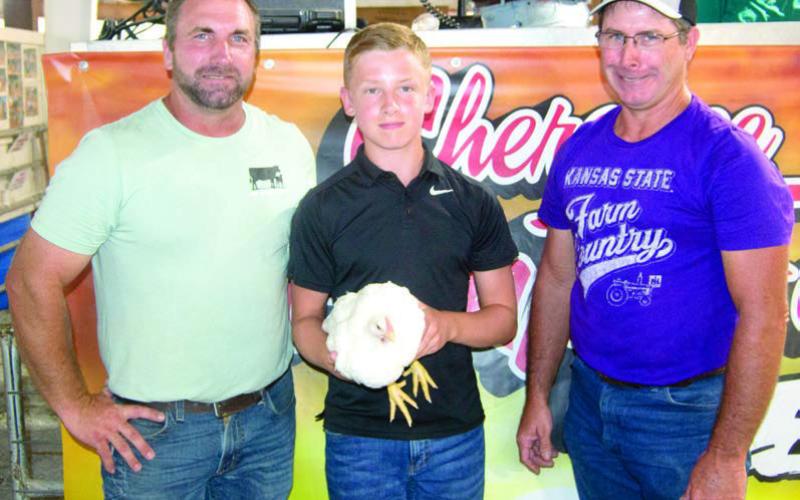 Livestock premium auction promotes learning