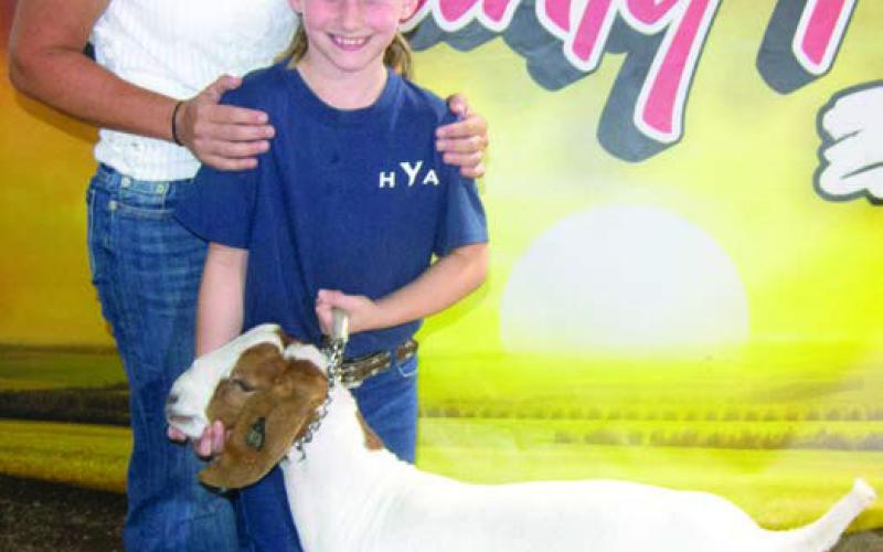 Livestock premium auction promotes learning