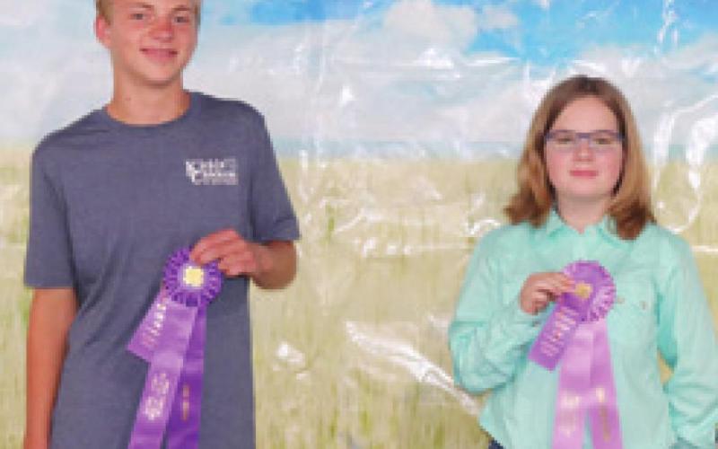 In the Poultry Intermediate