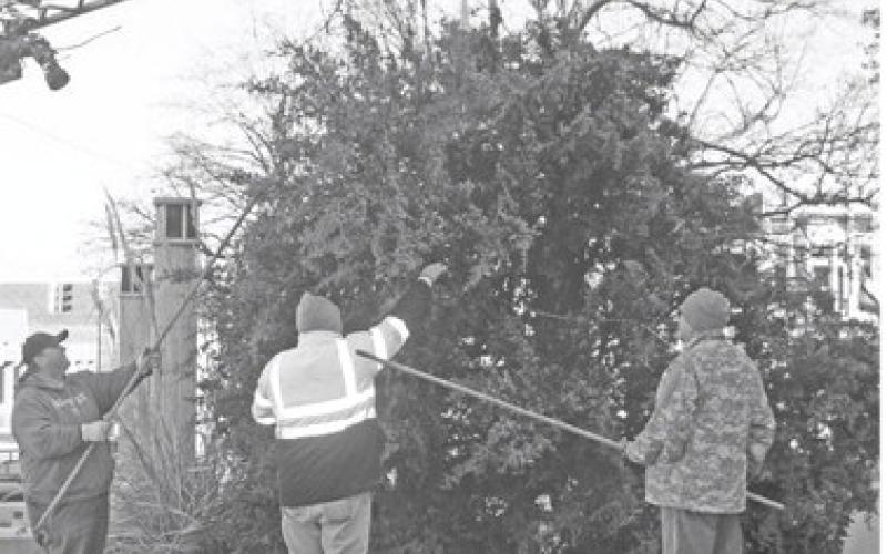 Each year the Columbus Lions Club makes sure to select a grand tree. Members set up and decorate the tree for the lighting ceremony before the parade.