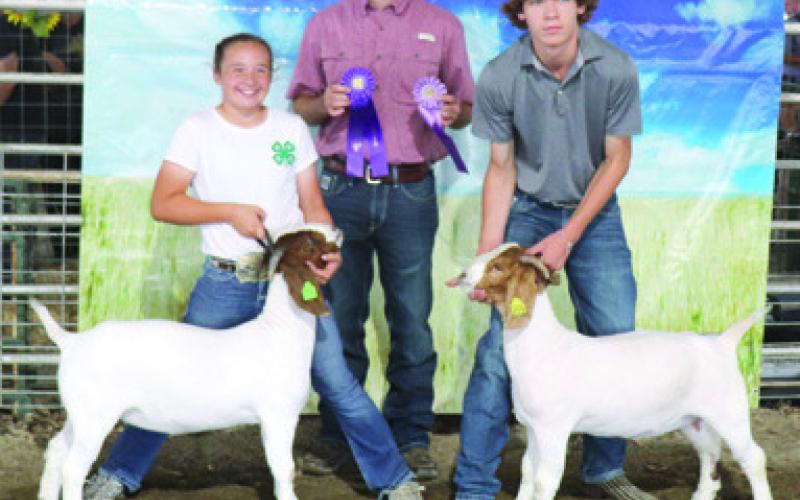 Goats, sheep earn participants championship accolades