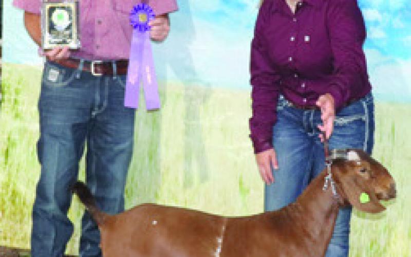 Goats, sheep earn participants championship accolades