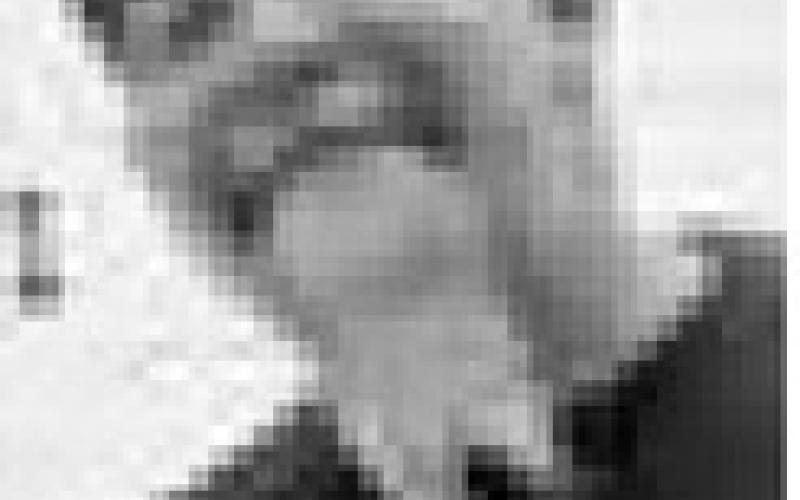 Richard Alexander