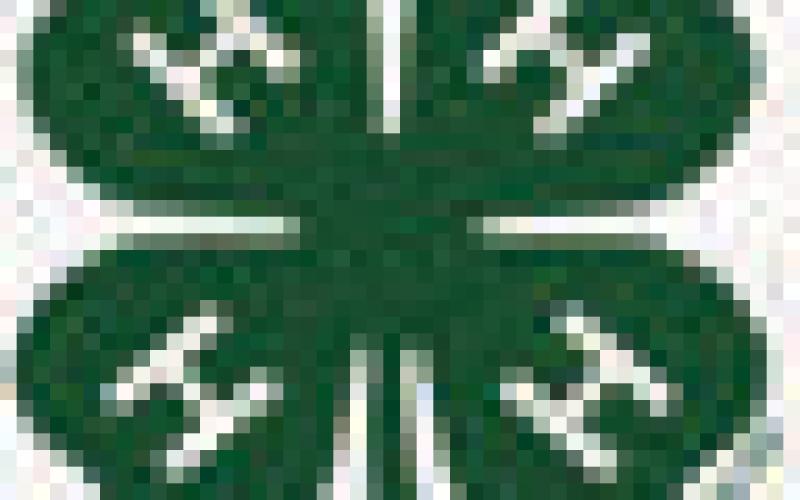 Lone Elm Beavers 4H Club creates new bylaw committee