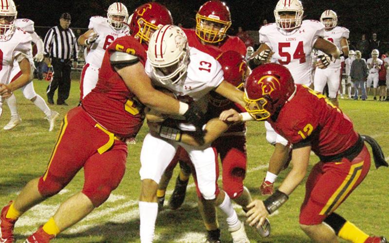 Titans cage Lions in District 1 win