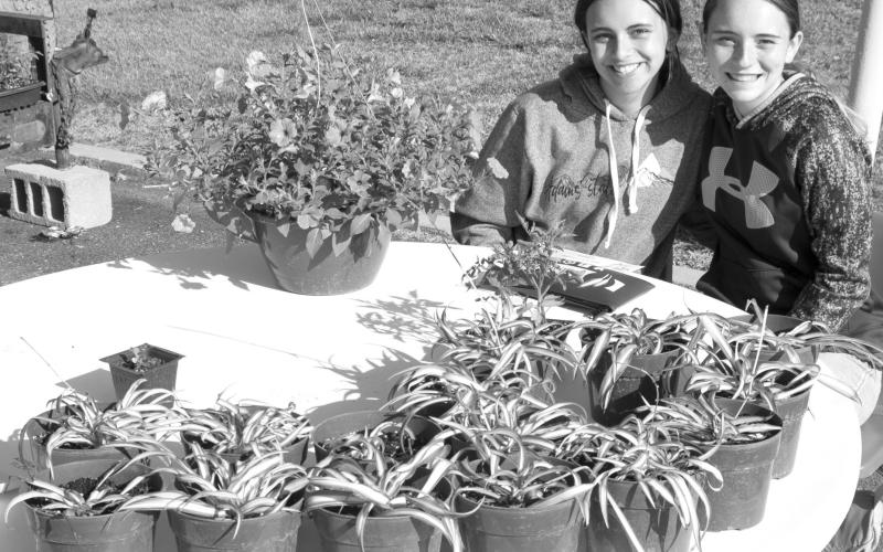Great time to begin spring cleaning