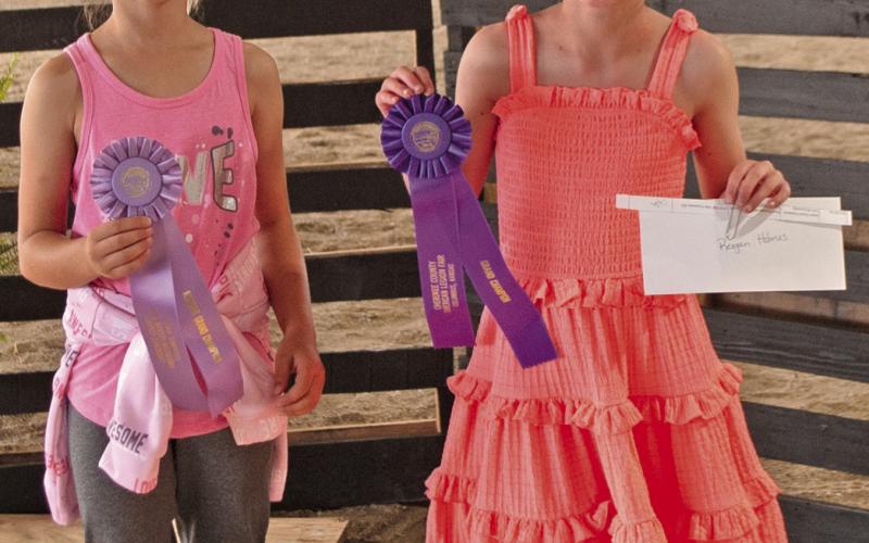 Style Revue showcases construction, buymanship skills