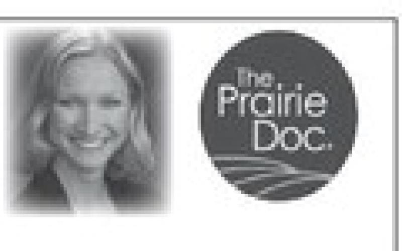 Public health professionals unsung heroes