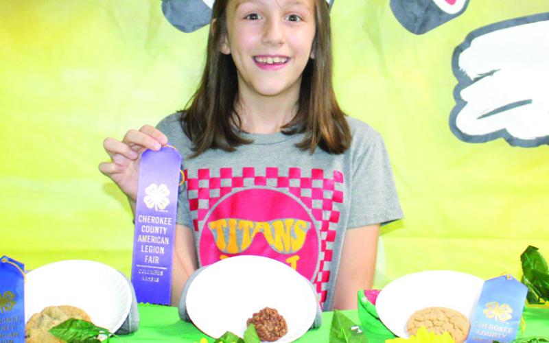 Elena Clugston, Spring Valley Sparklers, displays some of her entries and ribbons in the foods show.