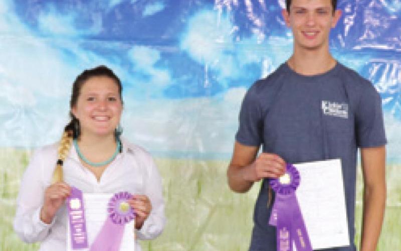During the Poultry Show