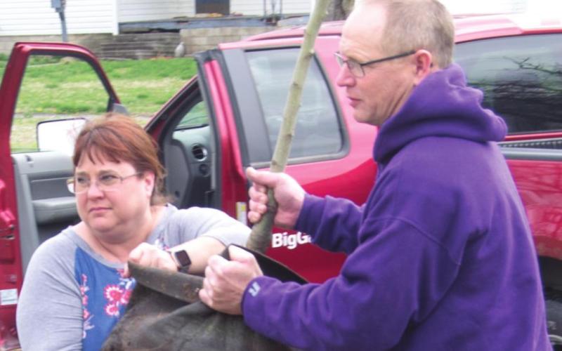 Community groups gather to plant fruit trees in Columbus City Park