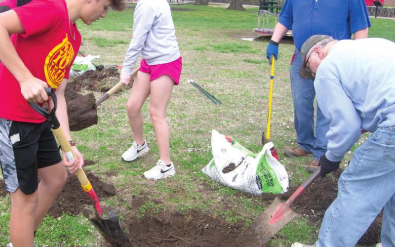 Community groups gather to plant fruit trees in Columbus City Park
