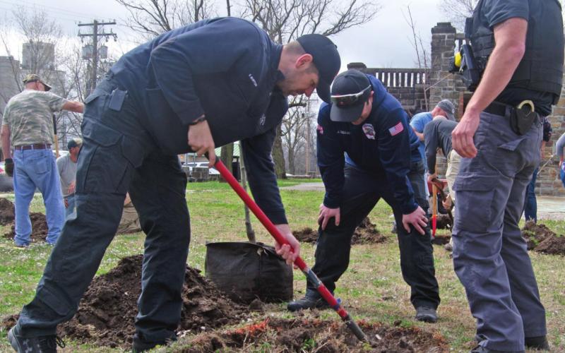 Community groups gather to plant fruit trees in Columbus City Park