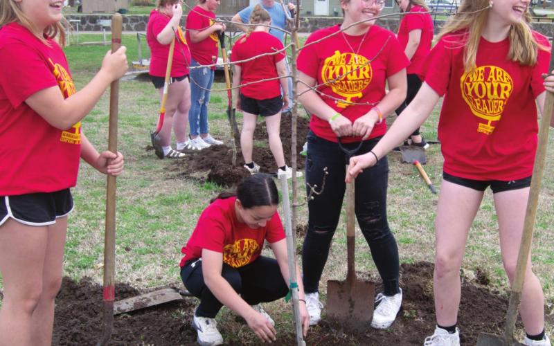 Community groups gather to plant fruit trees in Columbus City Park