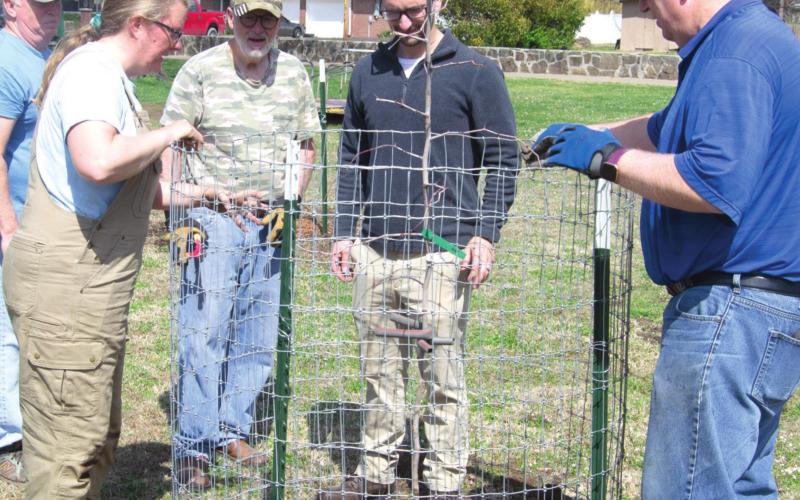 Community groups gather to plant fruit trees in Columbus City Park