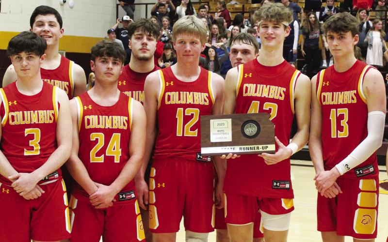Titans fall to Bulldogs in title match