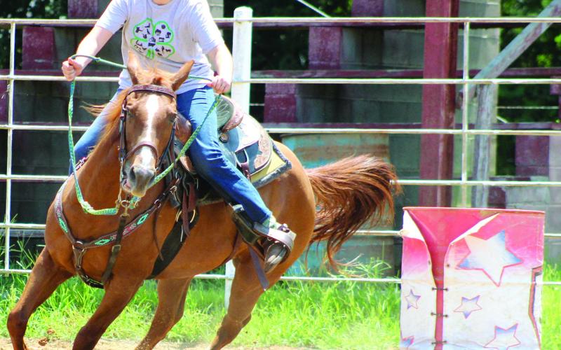 Results announced in 4-H, HYA, FFA Horse classes
