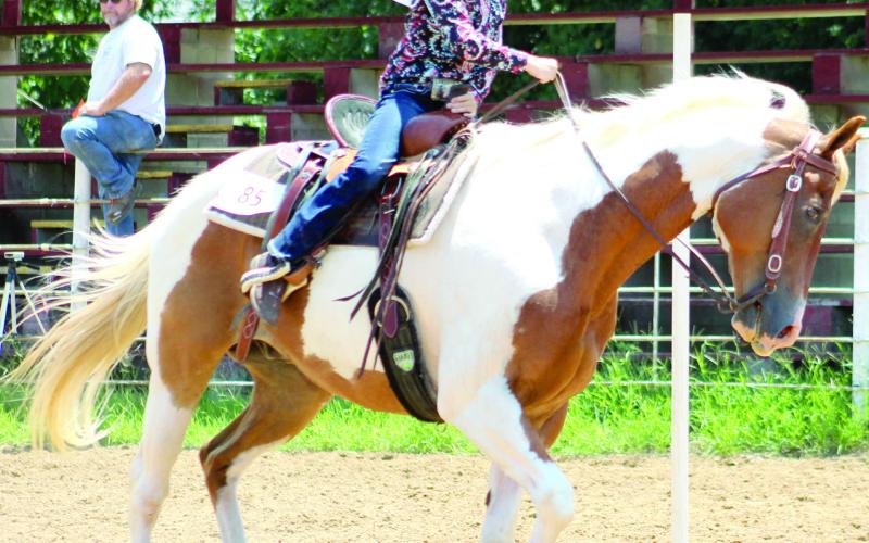Results announced in 4-H, HYA, FFA Horse classes