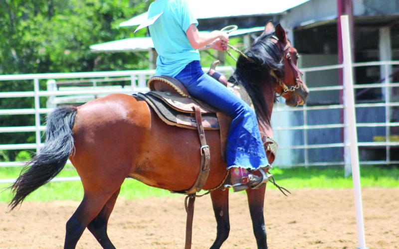 Results announced in 4-H, HYA, FFA Horse classes