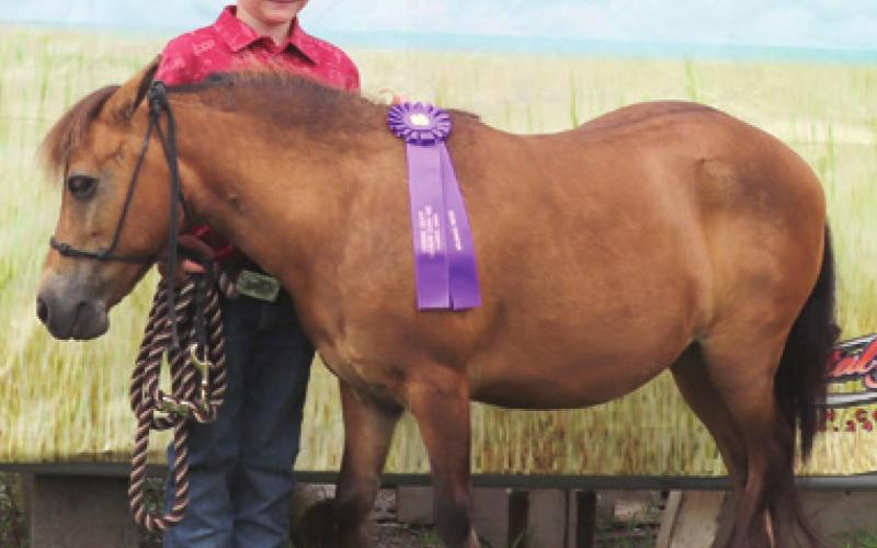 Cherokee County 4-H, open horse show began fair week