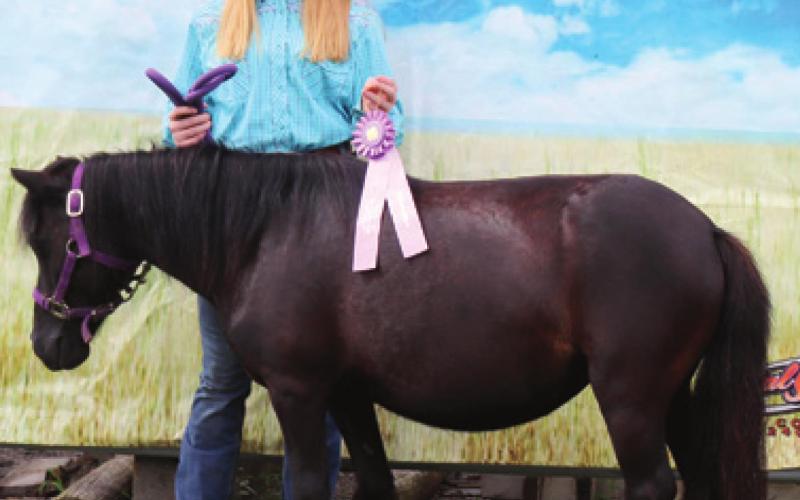 Cherokee County 4-H, open horse show began fair week