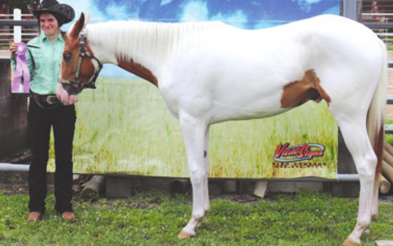 Cherokee County 4-H, open horse show began fair week