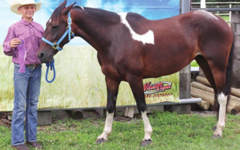 Cherokee County 4-H, open horse show began fair week