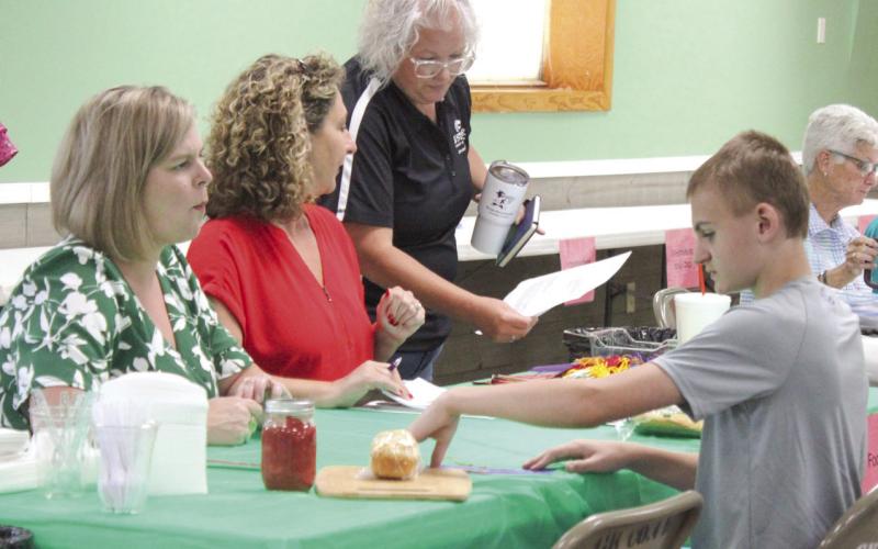 Judges help entrants develop project, communication skills