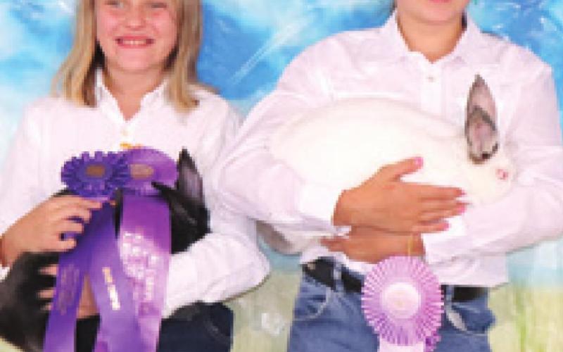 Results are in for market, fitting, showing rabbit classes
